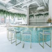 and S organic アンドエスオーガニック 3