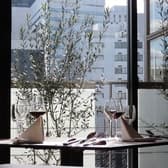 BIS-TRIA gatsby ビストリア ギャッツビー 3