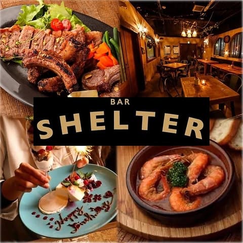 シェルター SHELTER