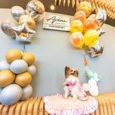 Apian ピアン 蘇我 3