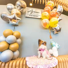 Apian ピアン 蘇我 2