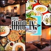 OPUS DROP IN 3