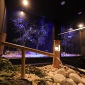 焼肉楽月ラムーン 3