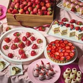 スアンブア センタラグランドホテル大阪 難波 3