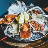 SALT MODERATE ソルトモデラート 3