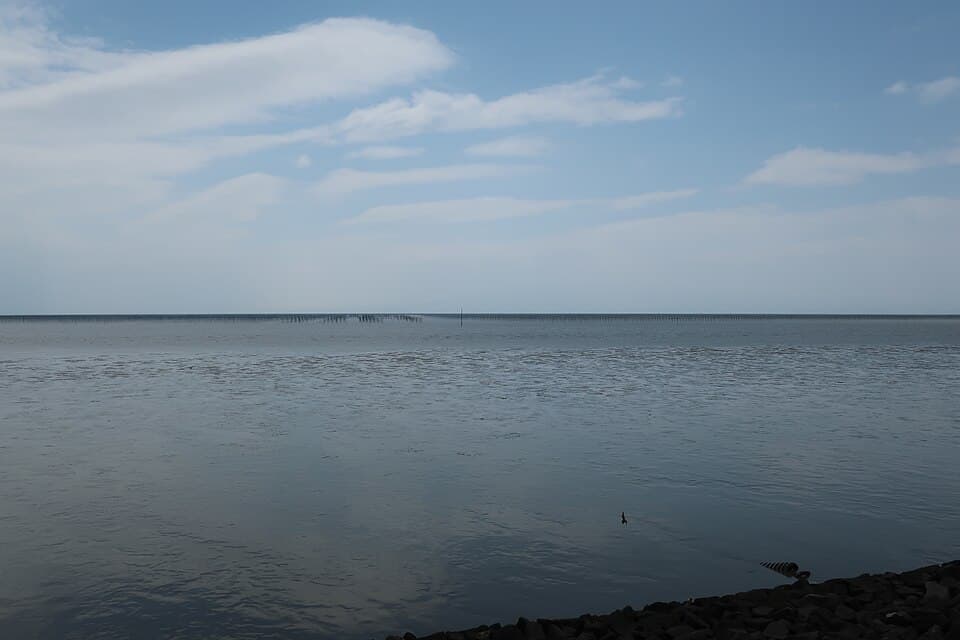 有明海の海苔摘み体験