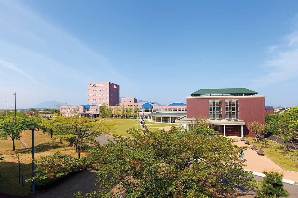 新潟国際情報大学