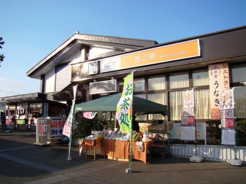 牧之原の茶摘み＆手揉み茶体験