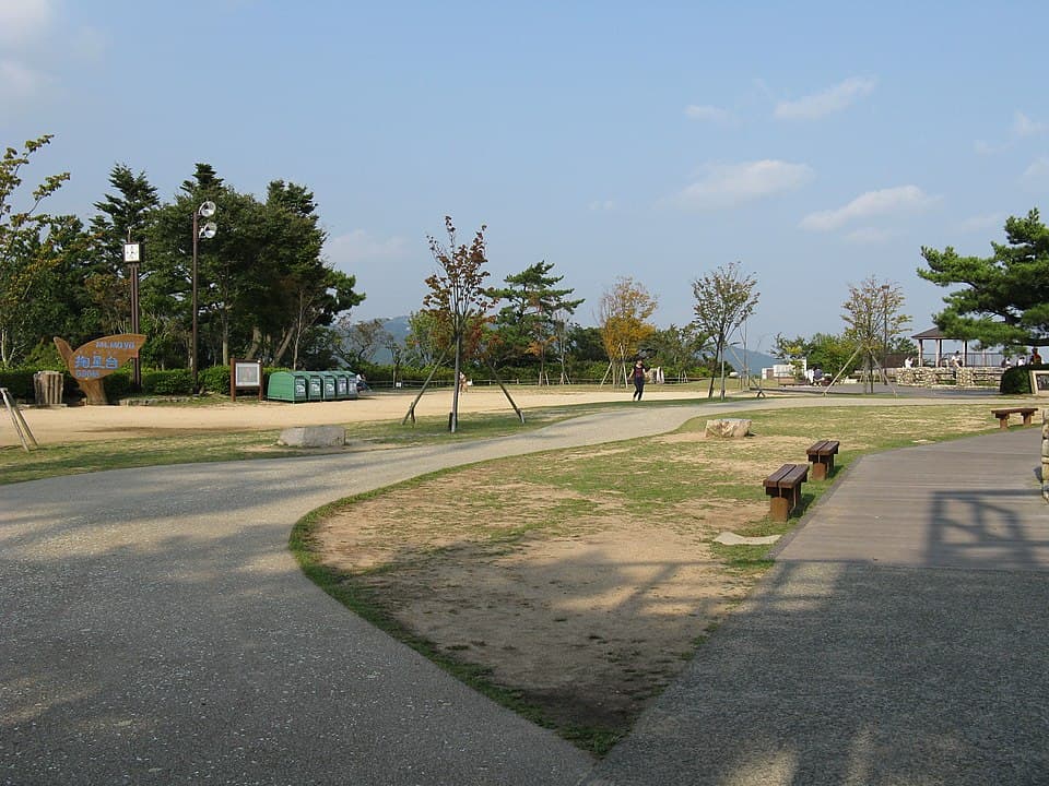 摩耶山掬星台的千萬美元夜景