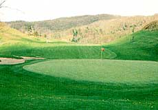 アロハリゾート