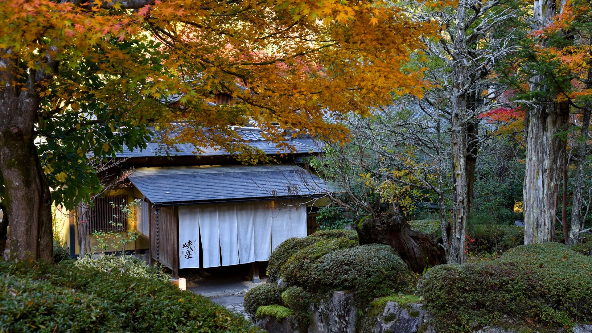 名勝天龍峡温泉 渓谷に佇む隠れ宿 峡泉