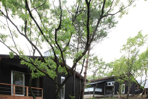 ロッジ虎の湯(旧:トライアル温泉郷 虎乃湯)