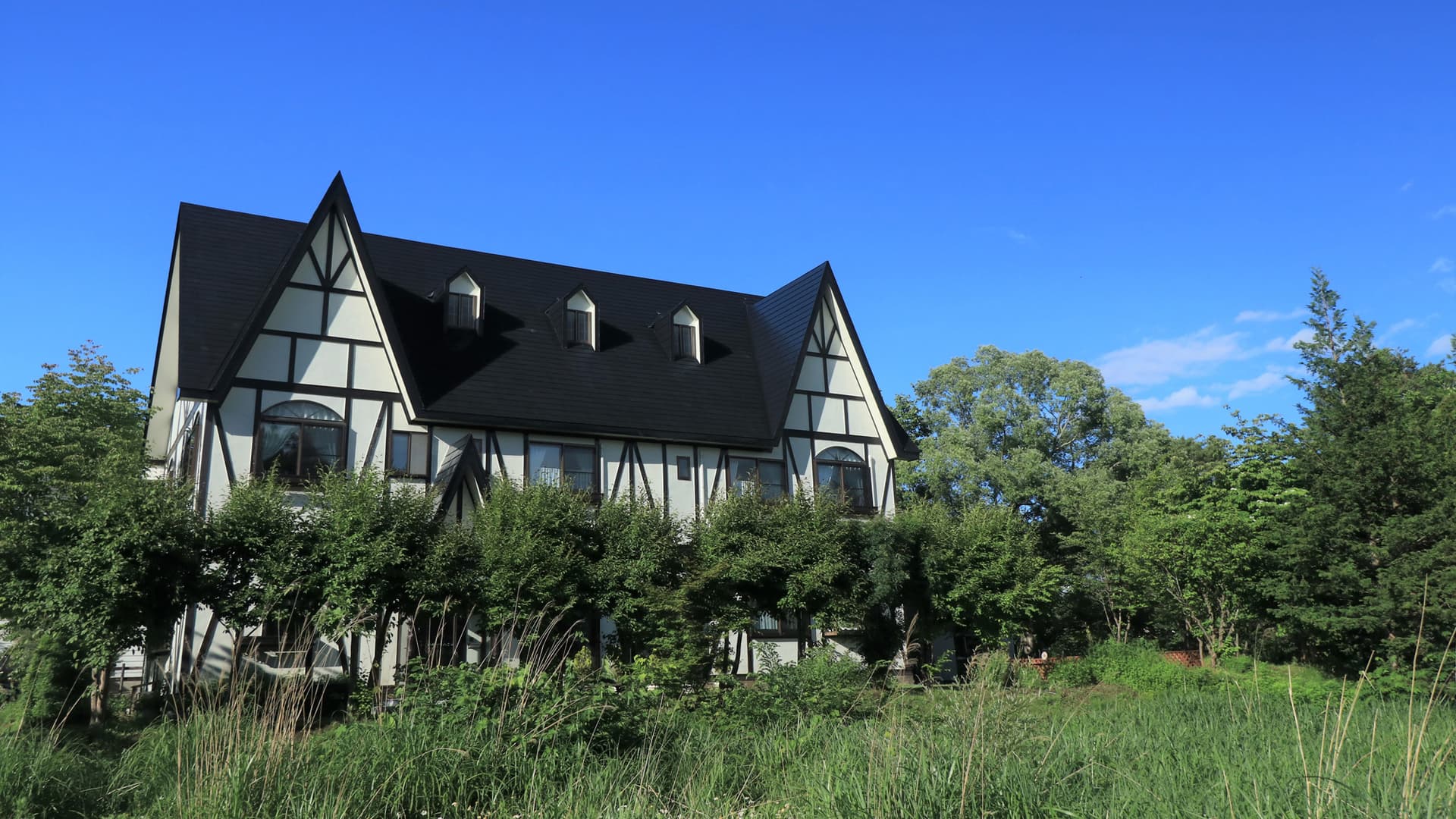 愛犬の宿 虹の詩