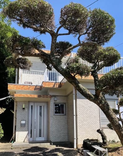 海神の宿1981【ペット(愛犬)可!】 ^