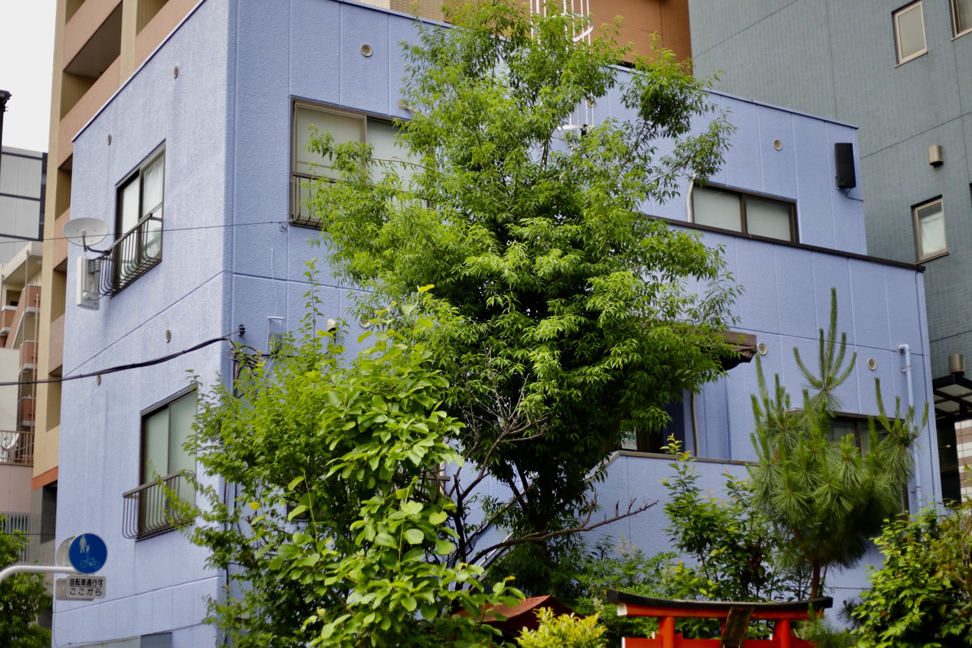 hamaca house Kameido