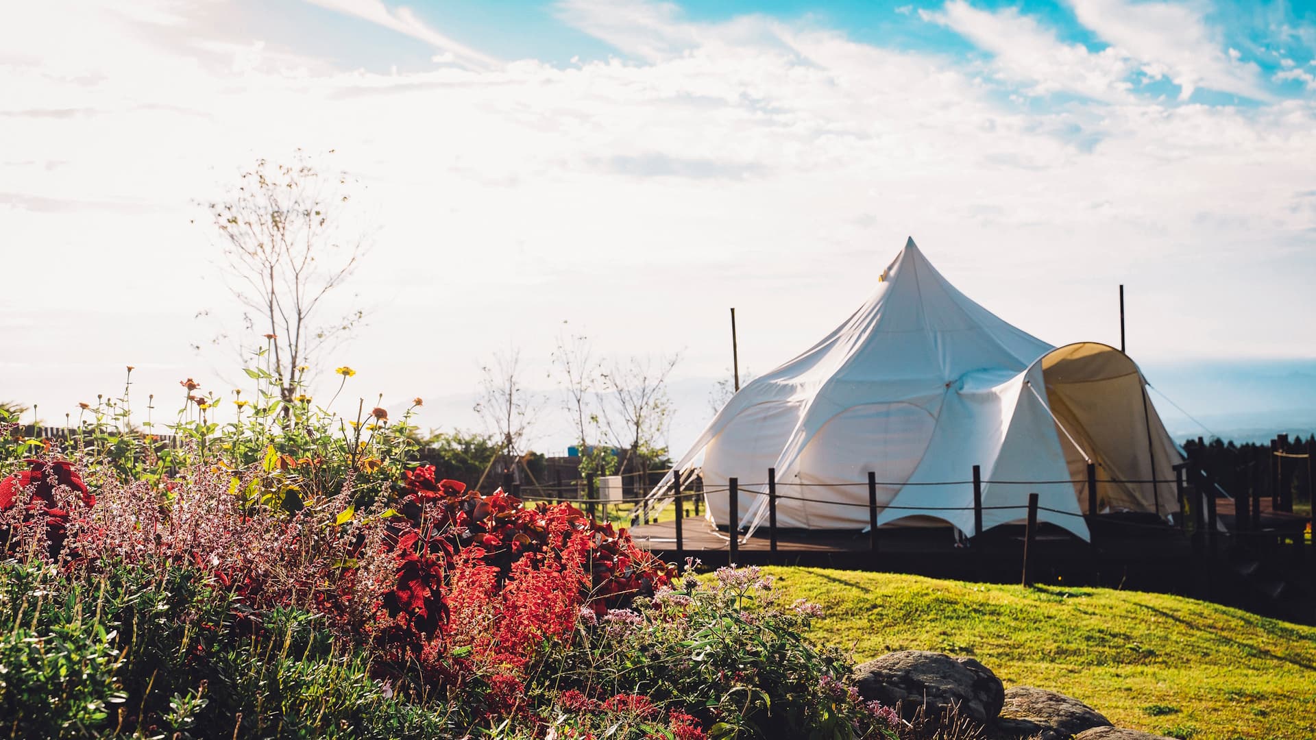 くじゅう花公園 キャンピングリゾート花と星