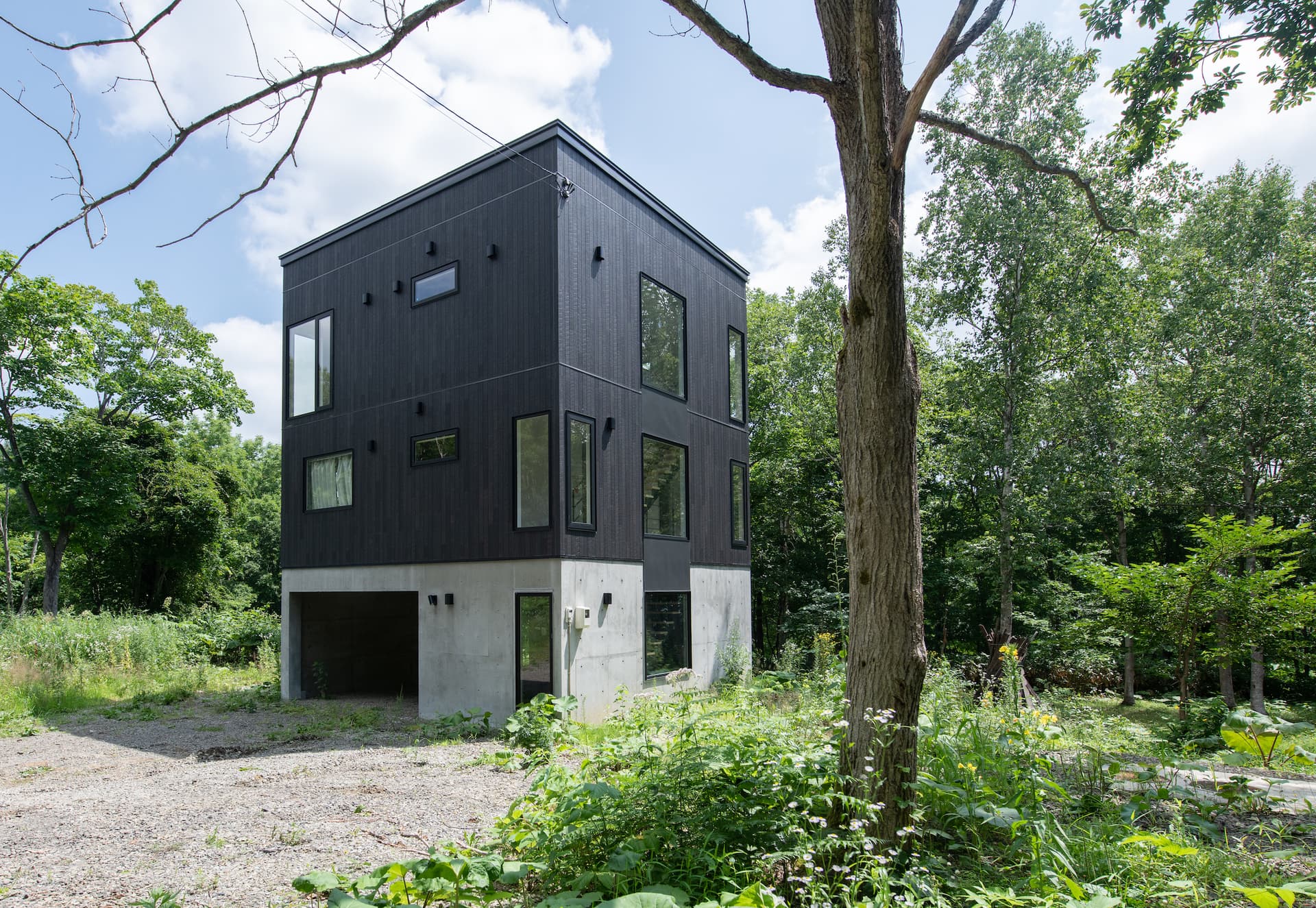 ホリデーニセコ 雪の滝 1