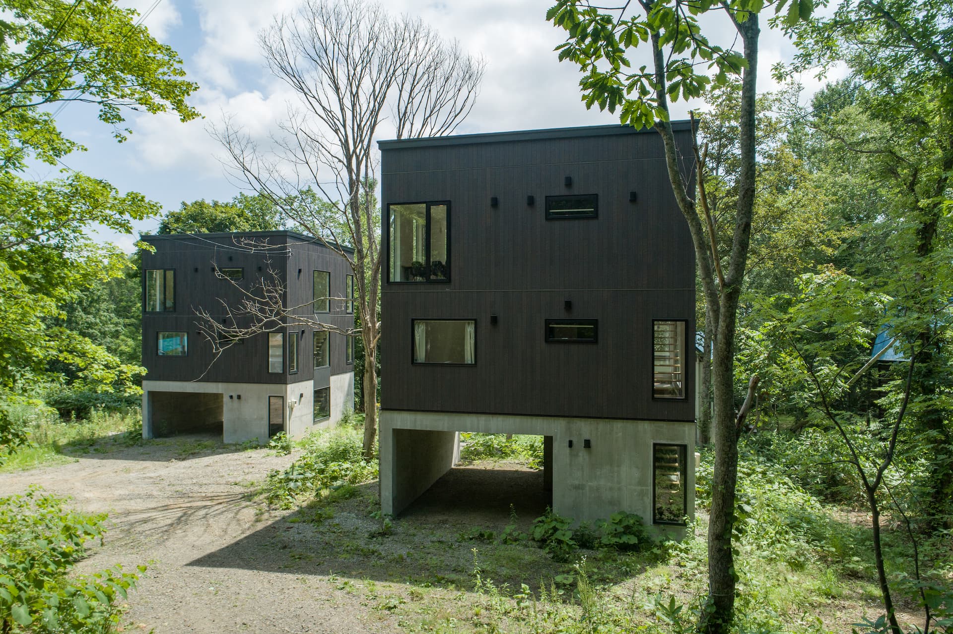 ホリデーニセコ 雪の滝 2