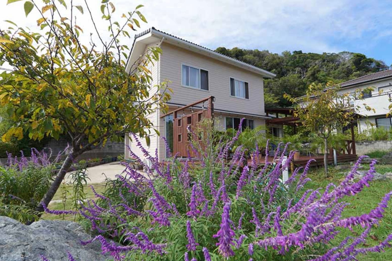 Gift from the MEMORY