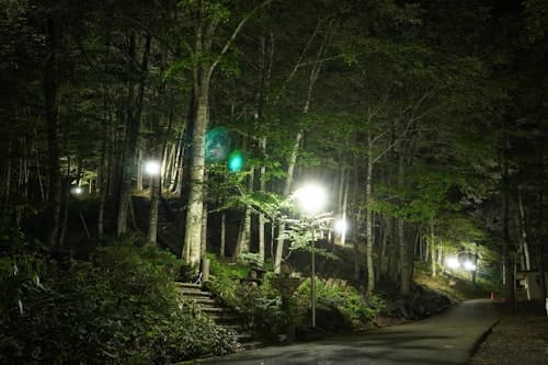 八東ふる里の森 ^