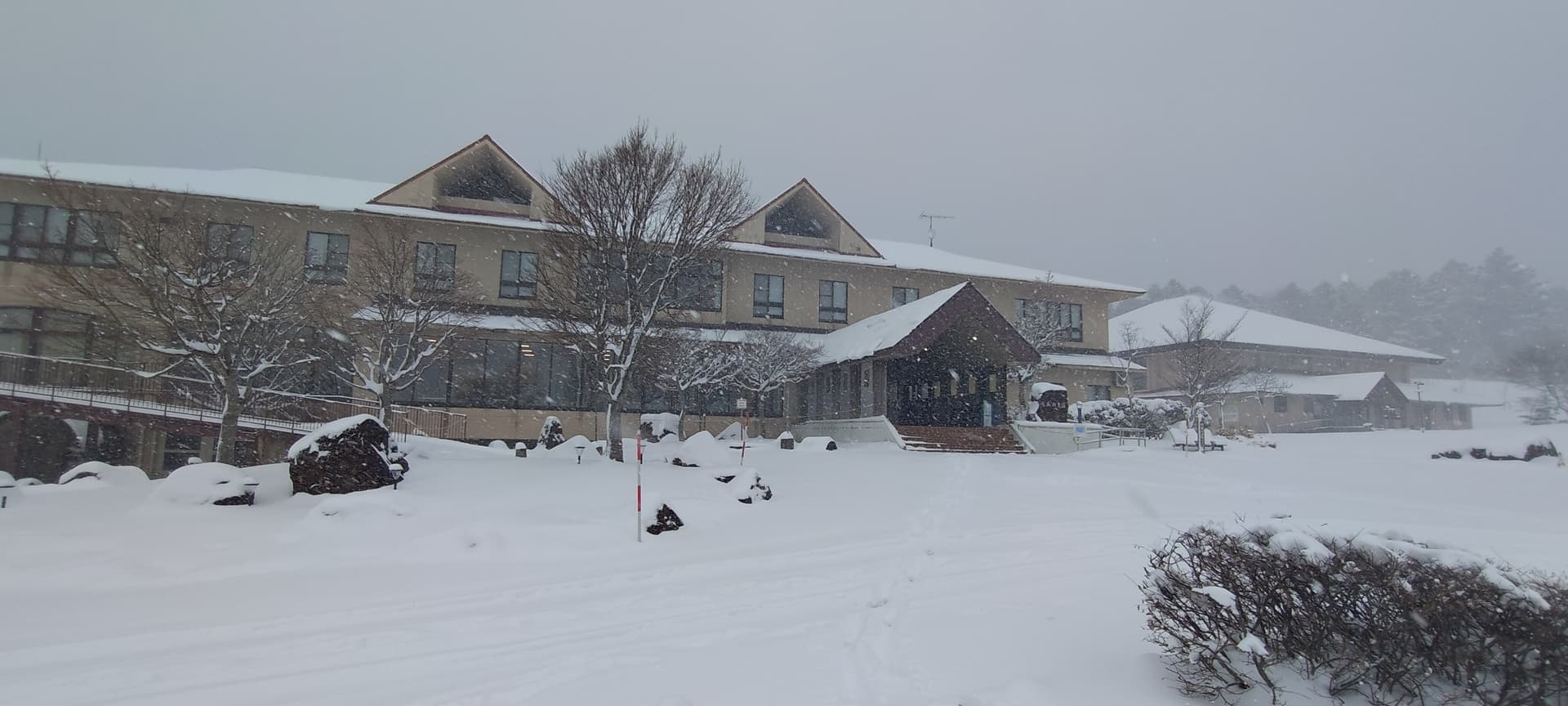 もみのき森林公園 もみのき荘