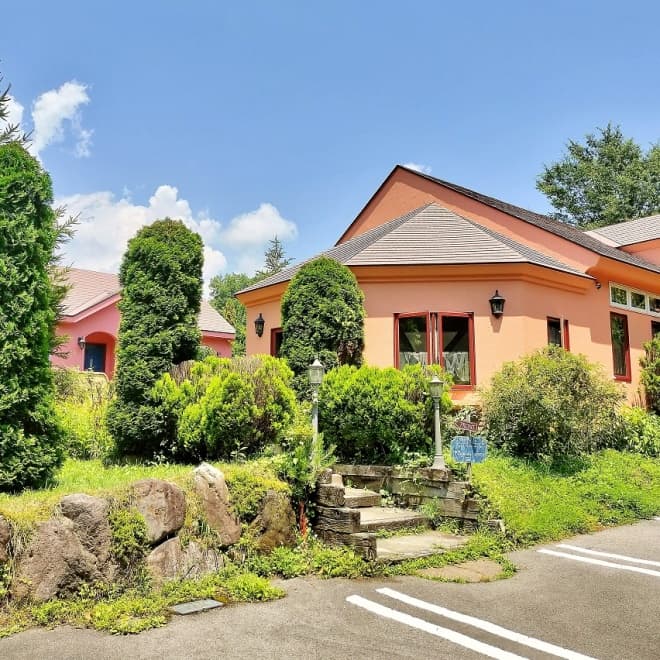 HAMIRU’S FOREST WITH DOG(ハミルズフォレストウィズドッグ)