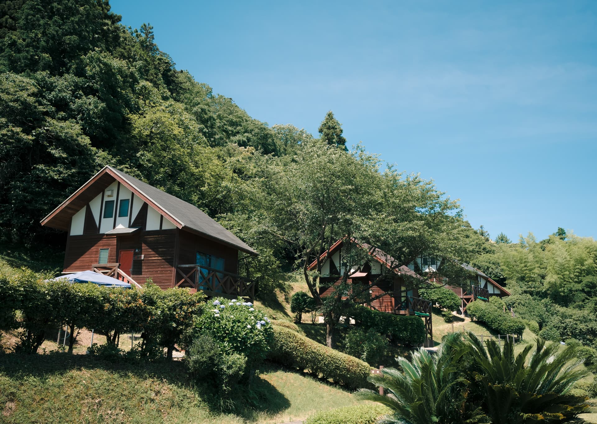 出雲市うさぎ森林公園 夢の森うさぎキャンプ村