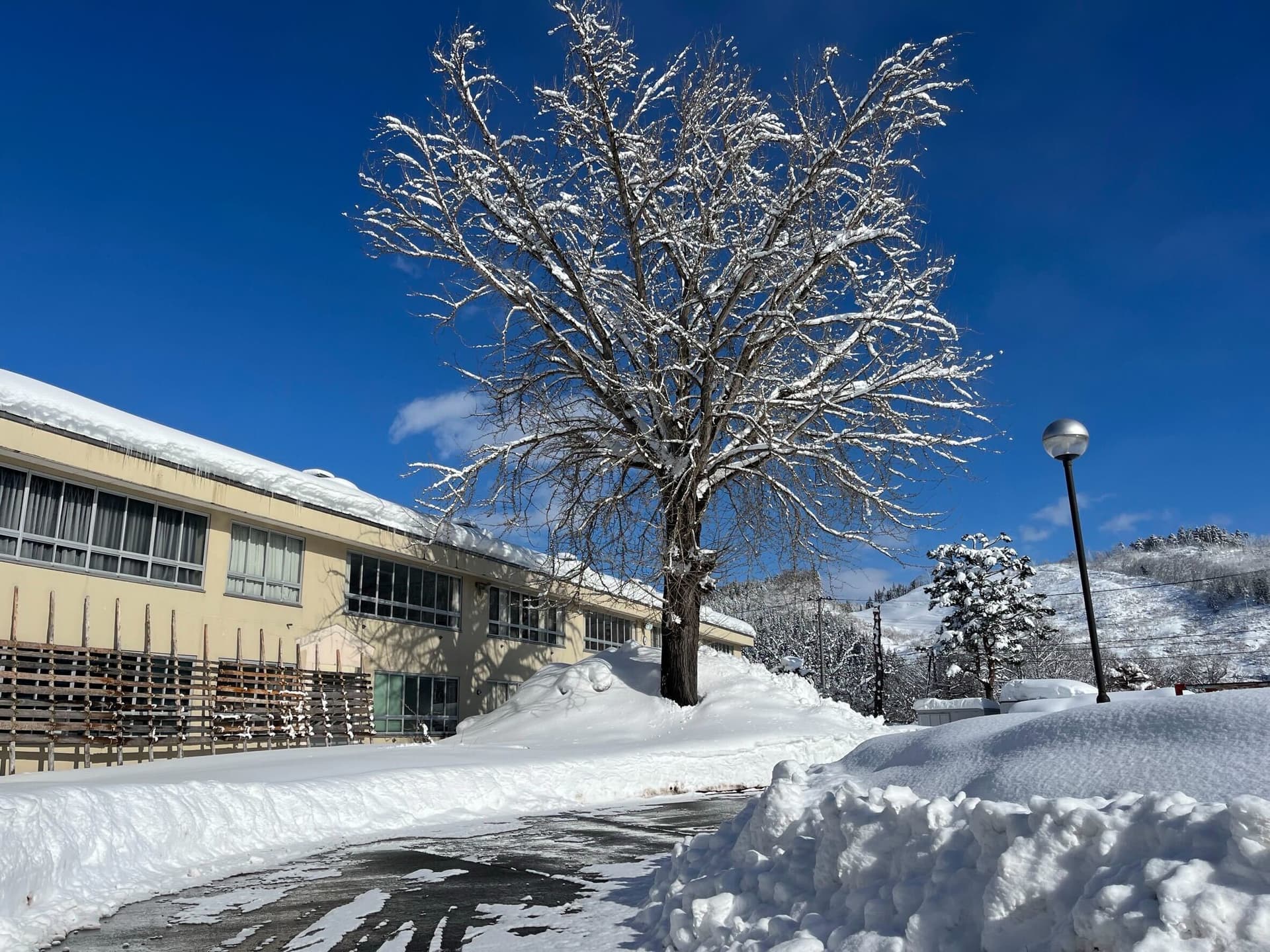 米沢みさわ小学校|とここと