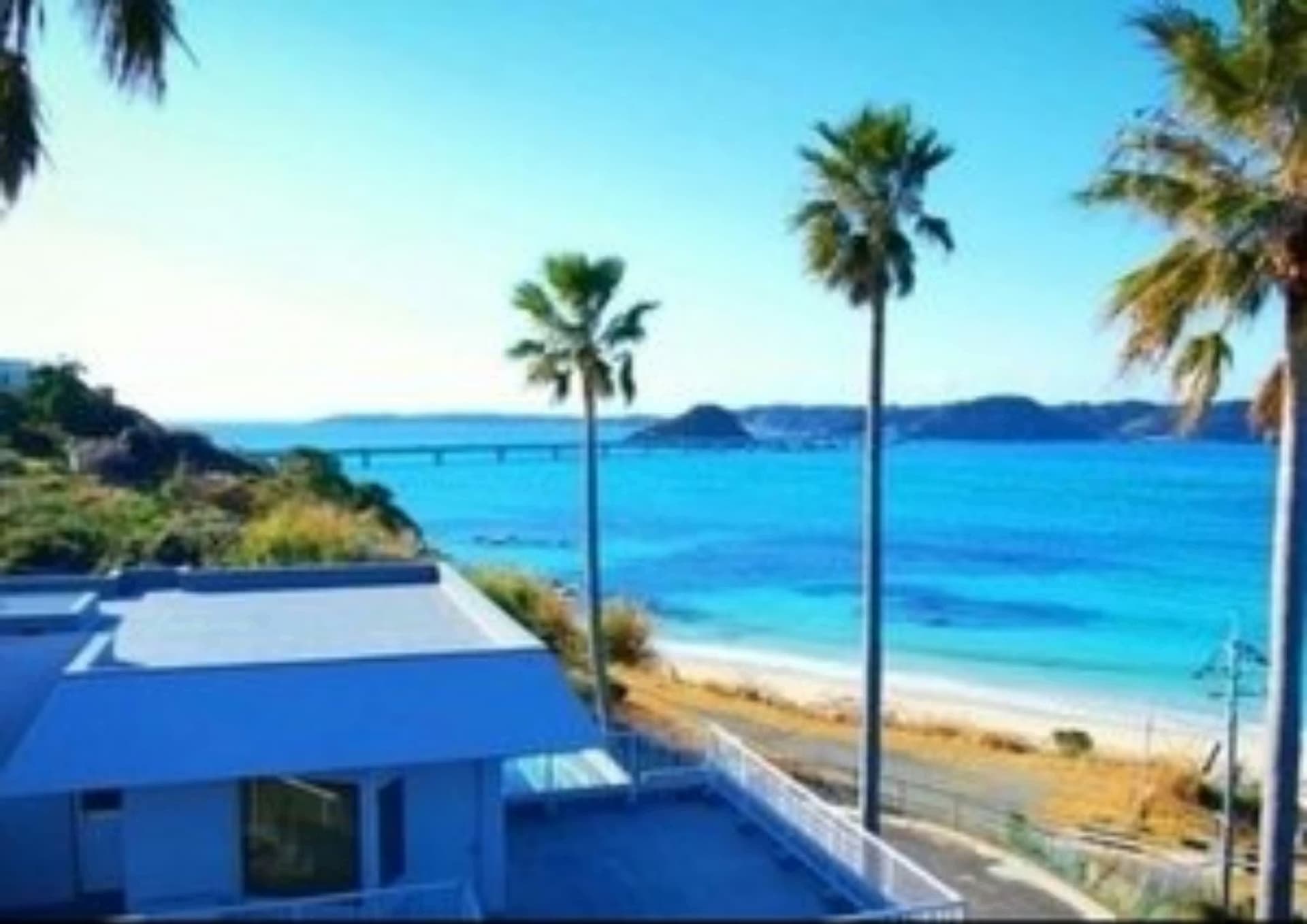 ブエナビスタ ^