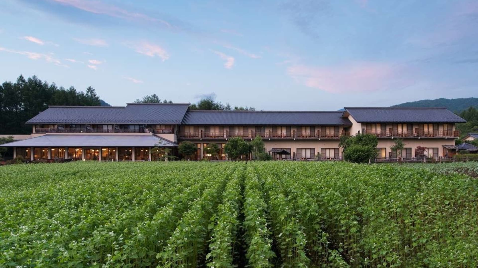 木曽御岳温泉 つたや季の宿 風里