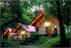 森の小さなリゾート村 桜清水コテージ