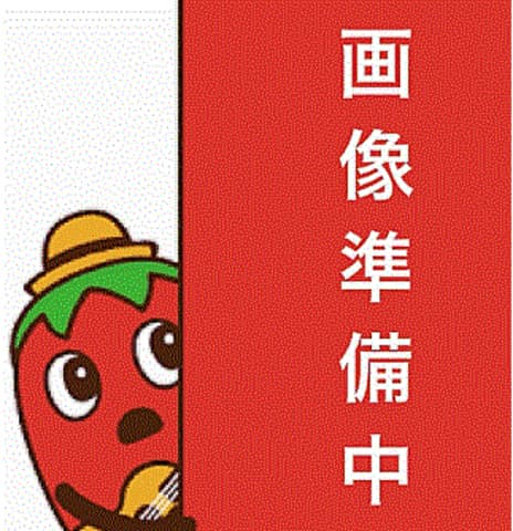 EDOMAE SS エドマエ エスエス