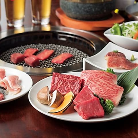 トラジ 国際フォーラム横店