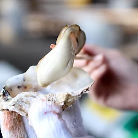 せとうち兵庫水産研究所 牡蠣小屋 HOPLAND 播州赤穂