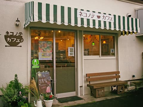 ネコノテカフェ
