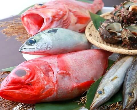 海鮮酒菜げんげJR八尾店