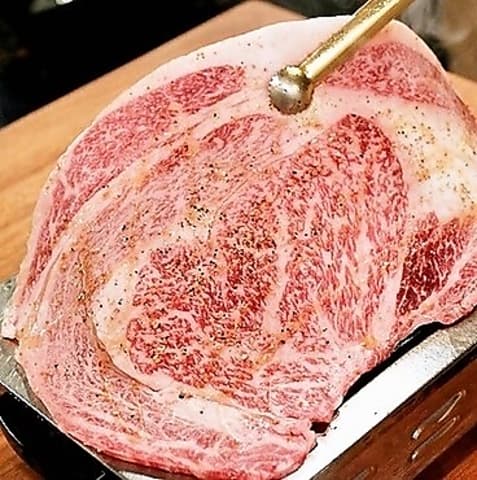 大阪焼肉 ホルモン ふたご 元住吉店