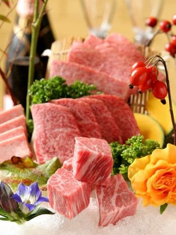 Ginseng ジンセン