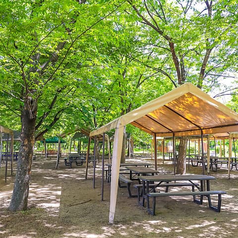 Good BBQ グッドバーベキュー 長居公園