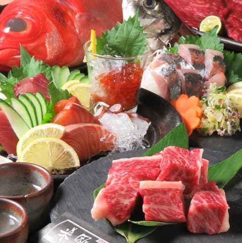 来恩DK ライオン