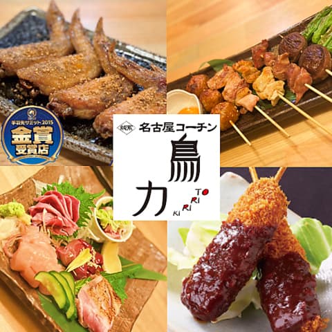 純系名古屋コーチン 鳥力