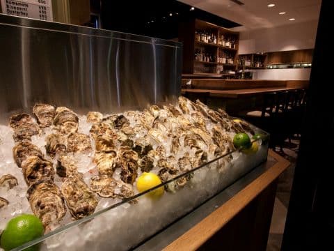Oyster Bar & Restaurant Ostrea オストレア 銀座コリドー通り店
