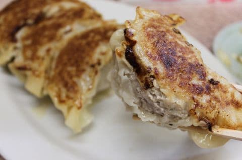 餃子天国 gyoza 1059