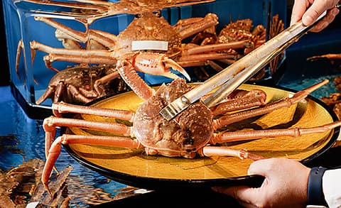 かに道楽 枚方店