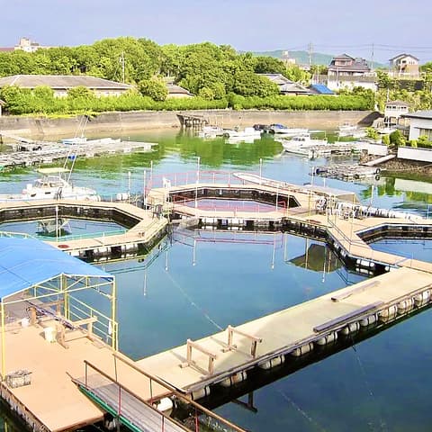 賢島フィッシングパーク 海遊苑