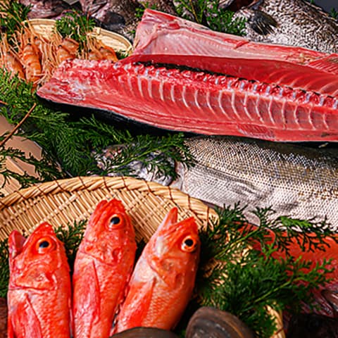 たちうお はなれ