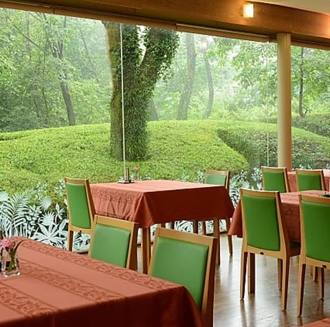 アイアイランド