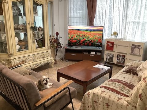 お散歩カフェ OPPO