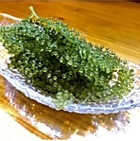 南国ダイニング むーんすとーん