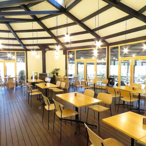 オバッタベッタ マメボシ